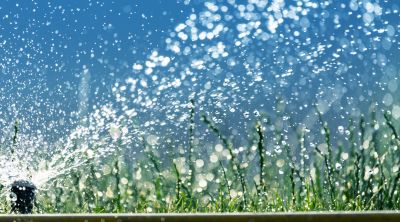 Sprinkler Winterizing Service
